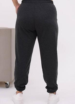 Спортивні штани, джогери великих розмірів
