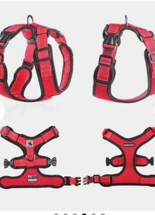 Шлея для собак1 фото