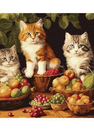 Картина за номерами "котики і фрукти" 40х50 см1 фото