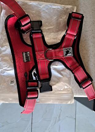 Шлея для собак3 фото