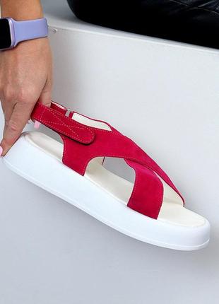 Малинові фуксія натуральні замш босоніжки сандалі перепльот на липучках 36-408 фото
