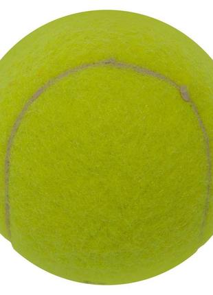 Мяч для большого тенниса welkin 909 12шт4 фото