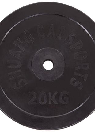Диски (диски) прогумовані shuang cai sports ta-2188-20s 30 мм 20кг чорний2 фото