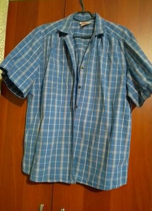 Женская рубашка. батал.