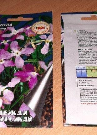 Матіола нічна фіалка