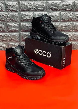 Зимние мужские ботинки на меху ecco