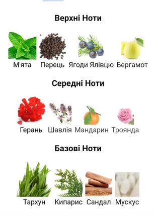 M for men mimina, винтажная миниатюра, туалетная вода, 5 мл