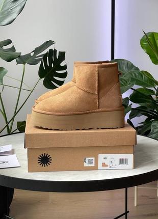 Брендовые оригинальные женские зимние ботинки ugg mini platform chestnut * lastrd