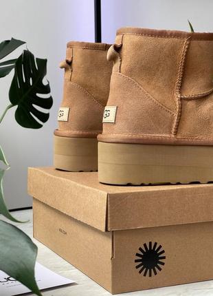 Брендовые оригинальные женские зимние ботинки ugg mini platform chestnut * lastrd