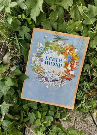 Брати-місяці🌙📚 словацька народна казка 1981 рік букіністика