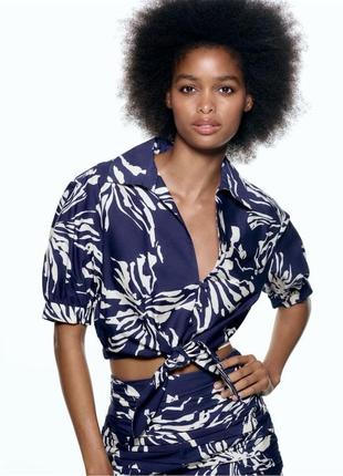 Жіноча  блуза сорочка з хрусткої бавовни zara синьо-біла з коротким рукавом та вузликом спереду
