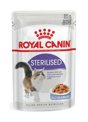 Вологий корм для кішок royal canin fhn wet steril jelly 85 г