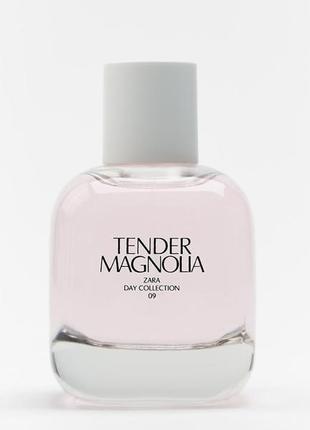 Tender magnolia