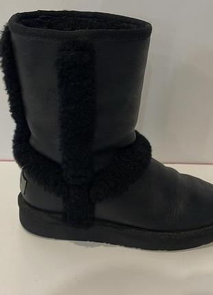 Ugg 6