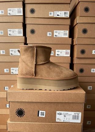 Уггі Shadow ugg mini platform chestnut