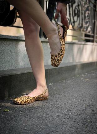 Женские балетки из натуральной кожи леопард 30419 фото