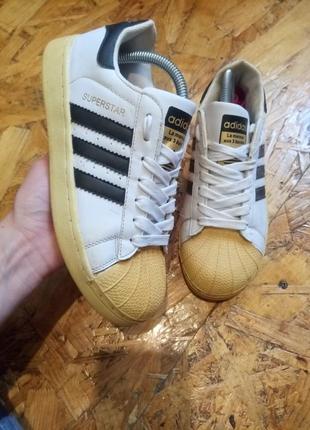 Кросівки кєди adidas la maroue aux 3 bandes superstar