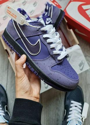 Мужские кроссовки nike sb dunk low concepts purple lobster