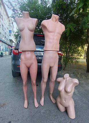 Манекены женские и мужские 7