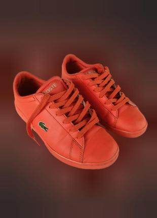 Кожаные кеды lacoste унисекс