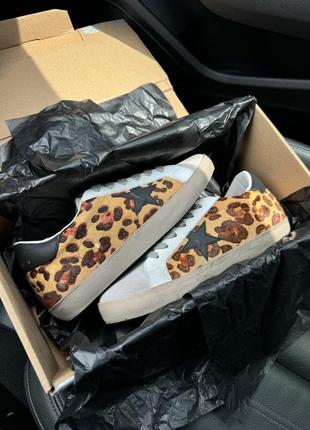 Golden goose all leo star black