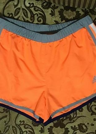 Шорты спортивные adidas