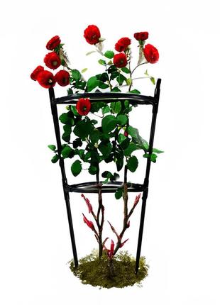 Опора для квітів та рослин pinta black. підпірка для квітів на дачі. кільцева опора для троянд6 фото
