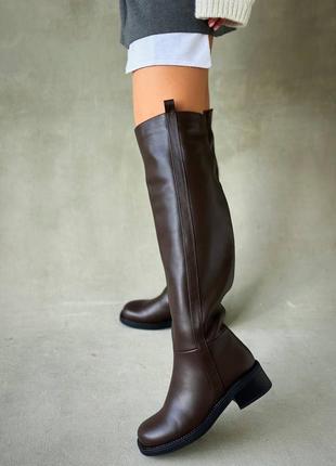 Ботфорты коричневые сапоги высокие