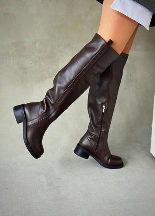 Ботфорты коричневые сапоги высокие