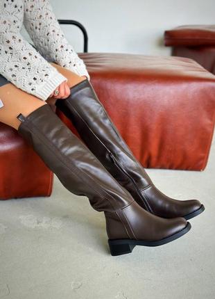Ботфорты коричневые сапоги высокие