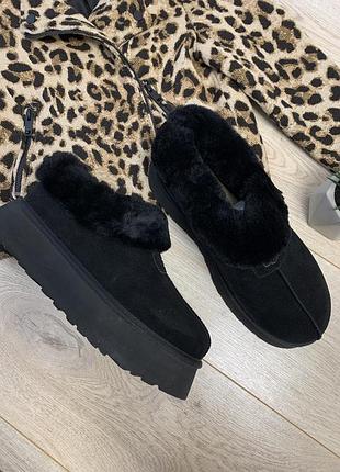 Уггі угги чоботи жіночі сапоги валянки  tazzette women's slipper 1134810