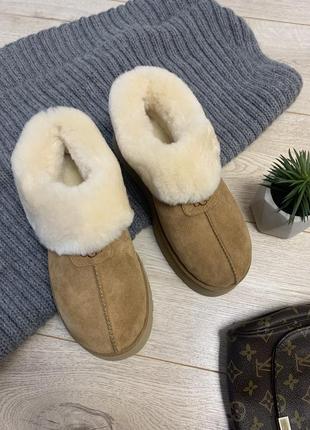 Уггі угги чоботи жіночі сапоги валянки  tazzette women's slipper 1134810