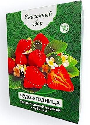 Чудо-ягодница сказочный сбор – набор для выращивания клубники на подоконнике