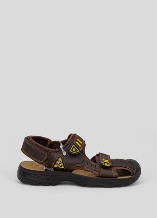 Сандалії чоловічі, колір темно-коричневий, 243ra550-1