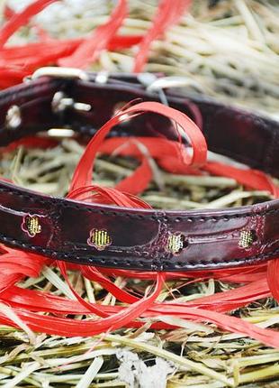 Ошейник для собак винил-кожа