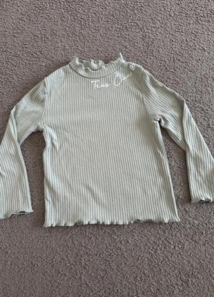 Лонгслив регламентирует водолазка кофта