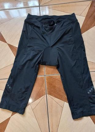 Велошорти crivit