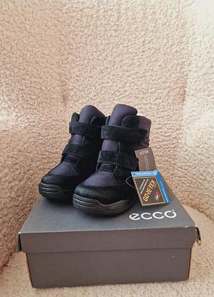 Черевички ecco