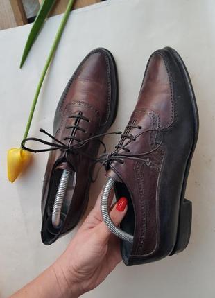 Шикарні добротні італійські туфлі lorenzo banfi milano2 фото