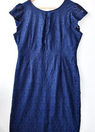 Dorothy perkins красива мереживна сукня в стилі hilfiger zara mango cerano franchi3 фото