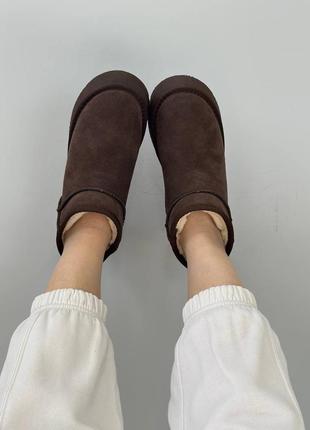 Aloe eva ампулы для восстановления волос с алое вера, египет