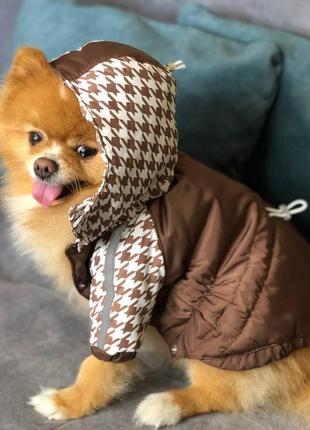 Курточка для песика 😻🦮