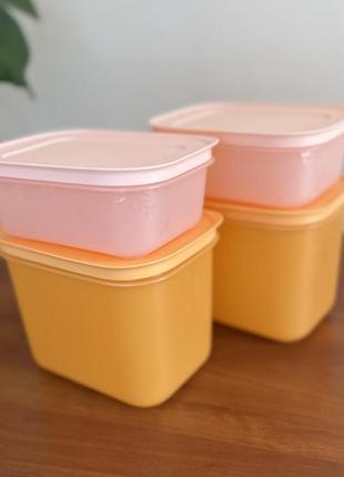 Набір охолоджуючих лотків (2шт*450мл, 2шт*1.1л) tupperware