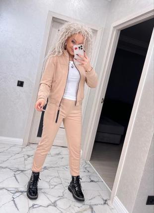 Костюм: штани на манжеті + кофта на змійці