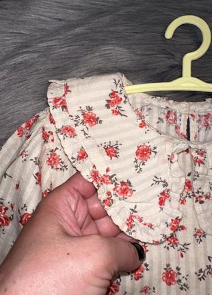 Неймовірна стильна бавовняна блузка сорочка з ошатним комірцем для дівчинки 4/5р primark2 фото