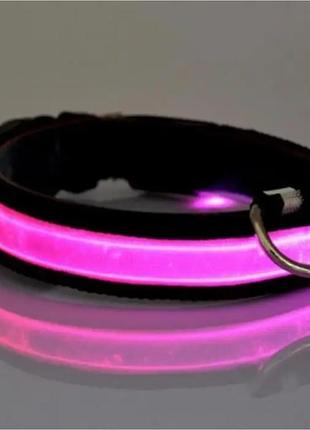 Ошейник для собак светодиодный led розовый размер m