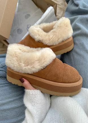 Ugg tazzlita, угги тапцы