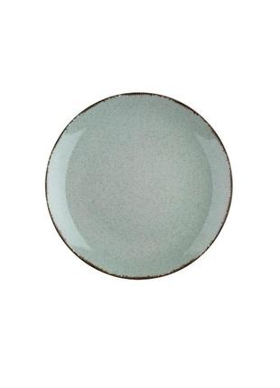 Тарілка обідня kutahya porselen color cxeo25du730p03 25 см