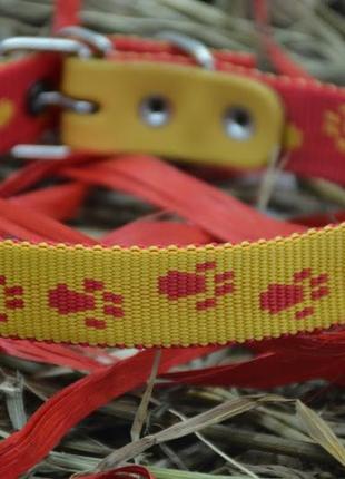 Нашийник для собак "лапки" нейлон