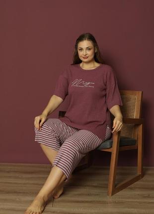 Жіноча піжама в рубчик футболка та бріджи р.xl,2xl,3xl,4xl туреччина8 фото